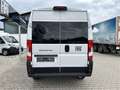 Fiat Ducato KOMBI PANORAMA MODULAR 35 L2H2 180AT Blanc - thumbnail 6
