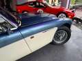 Austin-Healey 3000 BJ7 BJ7/ ROUES RAYONS CHROMEES/ OVERDRIVE/ VOLANT BOIS/ PORTE BAGAGES DE COFFRE Bleu - thumbnail 30