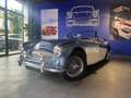 Austin-Healey 3000 BJ7 BJ7/ ROUES RAYONS CHROMEES/ OVERDRIVE/ VOLANT  Bleu - thumbnail 38