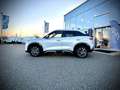 BYD Atto 2 Atto2 DM-i PHEV 18kWh 212PS Boost Österreich Pa... Weiß - thumbnail 4
