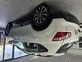 Nissan Qashqai 1.6 S&S Tekna Premium 4x2 17´´ Blanco - thumbnail 6