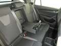 Skoda Octavia Selection TDI DSG Silber - thumbnail 16