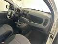 Fiat Panda PANDA 1.2  69 Cv Van 2 posti Euro6d POP Bianco - thumbnail 13