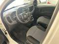 Fiat Panda PANDA 1.2  69 Cv Van 2 posti Euro6d POP Bianco - thumbnail 8