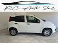 Fiat Panda PANDA 1.2  69 Cv Van 2 posti Euro6d POP Bianco - thumbnail 5