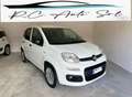 Fiat Panda PANDA 1.2  69 Cv Van 2 posti Euro6d POP Bianco - thumbnail 1