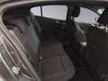 Ford Focus m-hybrid ST-Line X 5 porte Grau - thumbnail 13