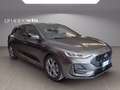 Ford Focus m-hybrid ST-Line X 5 porte Grau - thumbnail 7