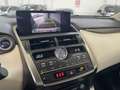 Lexus NX 300 NX Hybrid 4WD F-Sport Blanc - thumbnail 15