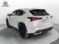 Lexus NX 300 NX Hybrid 4WD F-Sport Blanc - thumbnail 7