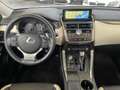 Lexus NX 300 NX Hybrid 4WD F-Sport Blanc - thumbnail 13