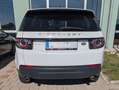 Land Rover Discovery Sport Discovery Sport 2,0 TD4 4WD Pure Aut. Pure Weiß - thumbnail 2
