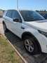 Land Rover Discovery Sport Discovery Sport 2,0 TD4 4WD Pure Aut. Pure Weiß - thumbnail 7