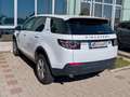 Land Rover Discovery Sport Discovery Sport 2,0 TD4 4WD Pure Aut. Pure Weiß - thumbnail 5