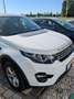 Land Rover Discovery Sport Discovery Sport 2,0 TD4 4WD Pure Aut. Pure Weiß - thumbnail 4