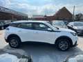 Peugeot 2008 1.2i 130PK AUTOMAAT NAVIGATIE CAMERA CARPLAY LED Weiß - thumbnail 4