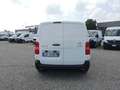Citroen Jumpy BlueHDi 120 S&S PL-TN  iSOTERMICO 0-4° Bianco - thumbnail 7