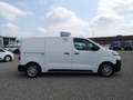 Citroen Jumpy BlueHDi 120 S&S PL-TN  iSOTERMICO 0-4° Bianco - thumbnail 5