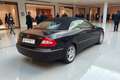 Mercedes-Benz CLK 320 CLK 320 CDI cat Cabrio Elegance Nero - thumbnail 5