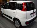 Fiat Panda 1.3 MJT 75cv Easy ITALIANA Bianco - thumbnail 5