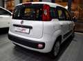 Fiat Panda 1.3 MJT 75cv Easy ITALIANA Bianco - thumbnail 3
