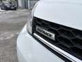 Volkswagen Golf Variant Alltrack BMT 2,0 TDI DSG 4Motion *ALLRAD*AHK*NAVI* Weiß - thumbnail 4