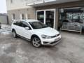 Volkswagen Golf Variant Alltrack BMT 2,0 TDI DSG 4Motion *ALLRAD*AHK*NAVI* Weiß - thumbnail 1