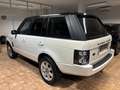 Land Rover Range Rover 3.6 tdV8 Vogue auto*GANCIO TRAINO * Bianco - thumbnail 6