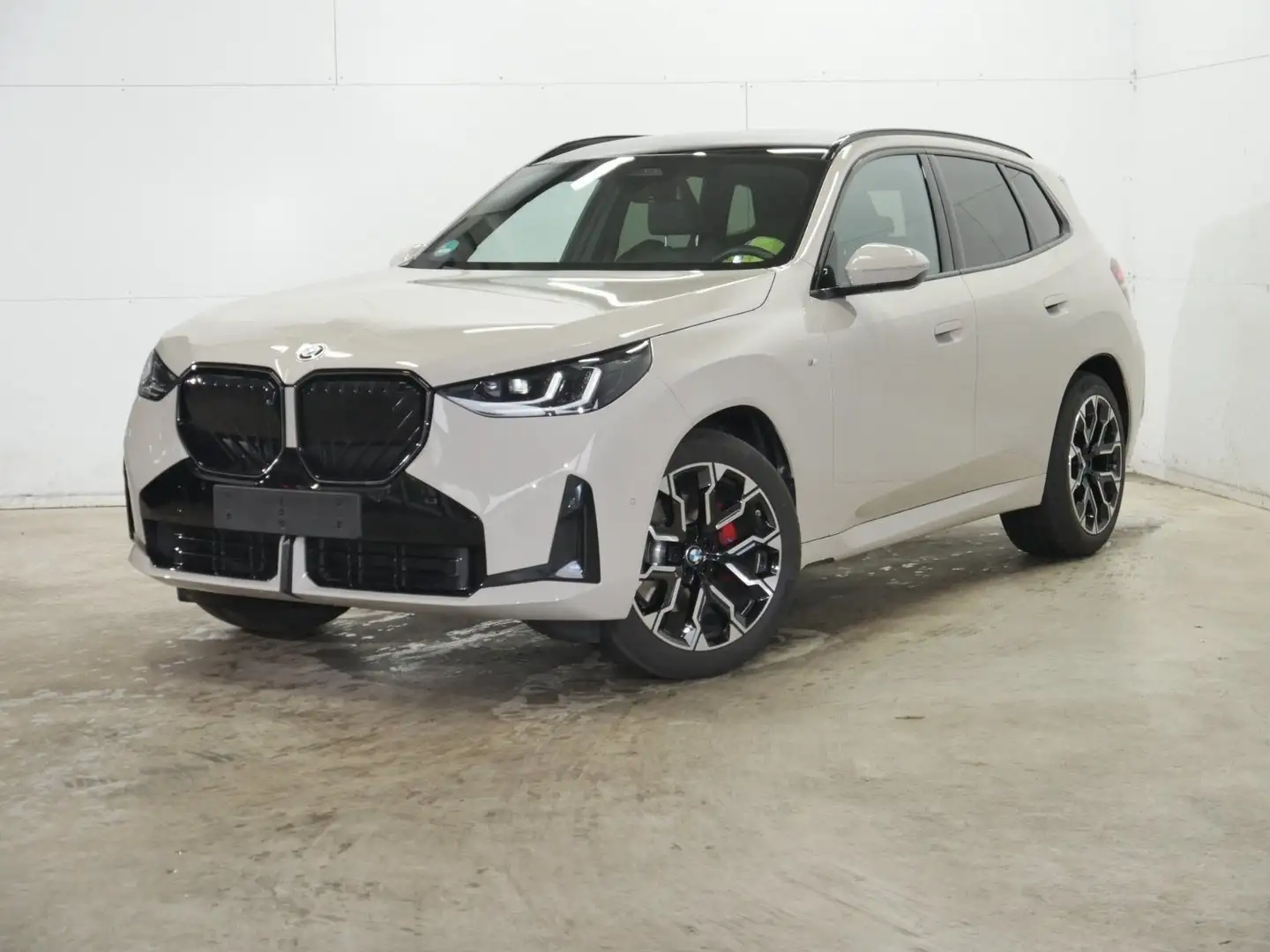 BMW X3 20 xDrive M Sportpaket HK HiFi DAB LED Grau - 1