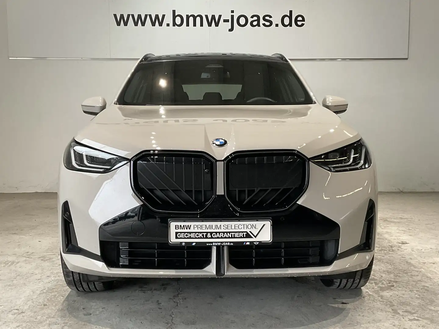 BMW X3 20 xDrive M Sportpaket HK HiFi DAB LED Grau - 2