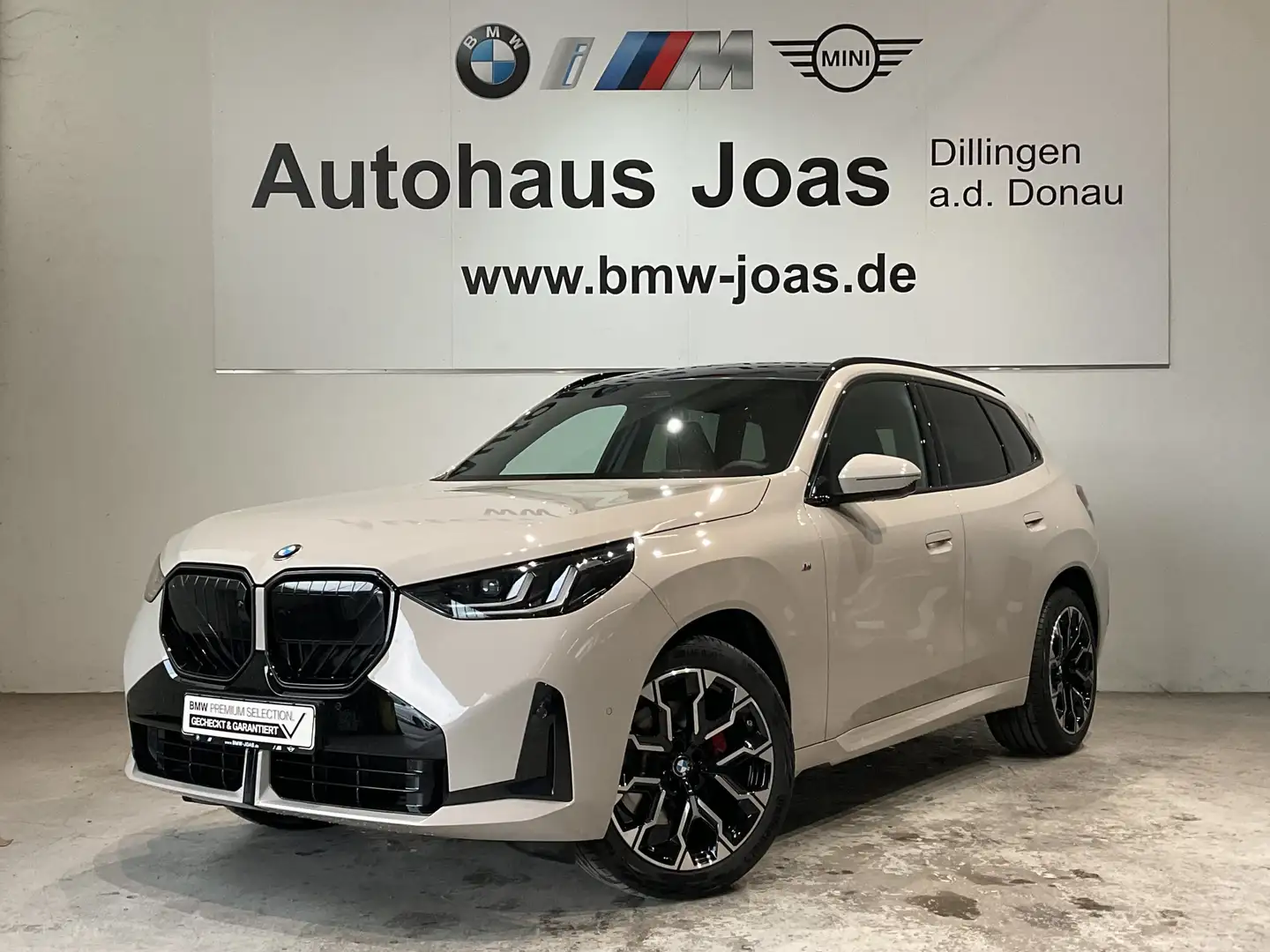 BMW X3 20 xDrive M Sportpaket HK HiFi DAB LED Grau - 1