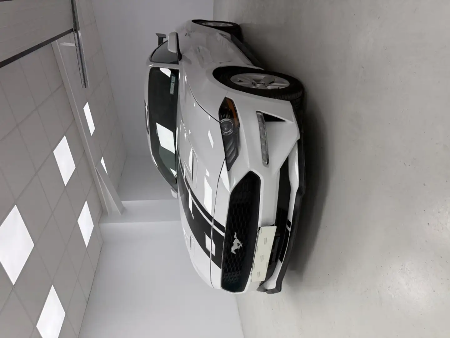 Ford Mustang Fastback 2.3 EcoBoost Aut. Blanc - 1