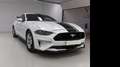 Ford Mustang Fastback 2.3 EcoBoost Aut. Blanco - thumbnail 3