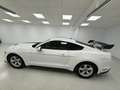 Ford Mustang Fastback 2.3 EcoBoost Aut. Blanc - thumbnail 8