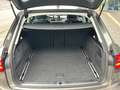 Audi A6 allroad quattro 3.0 TDI RFK ACC AHK HUD Pano Gris - thumbnail 19