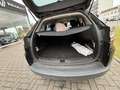 Renault Megane Mégane SW 1.5 dCi TomTom Edition FAP - thumbnail 6
