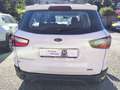 Ford EcoSport UNICOPROPRIETARIO-  1.0 ecoboost Business 125cv Bianco - thumbnail 5