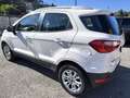 Ford EcoSport UNICOPROPRIETARIO-  1.0 ecoboost Business 125cv Bianco - thumbnail 4