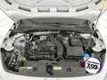 CUPRA Formentor 1.5 tsi 150cv Bianco - thumbnail 15