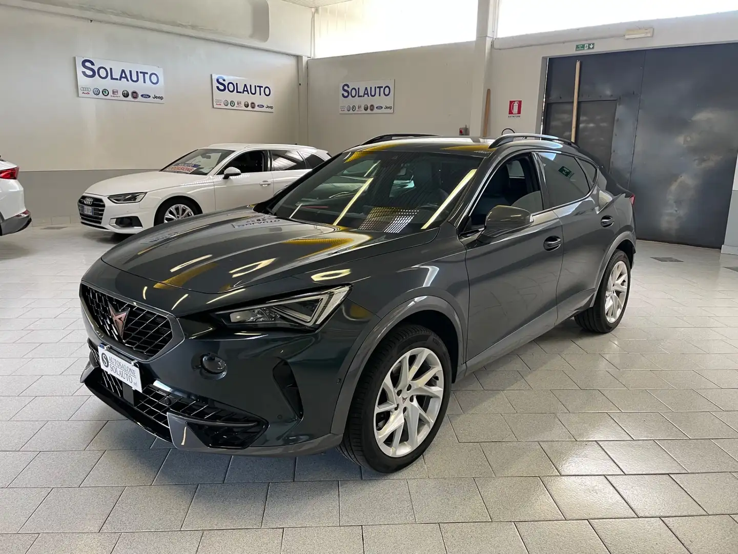 CUPRA Formentor Formentor 2.0 TDI 4Drive DSG Telec. Grigio - 1
