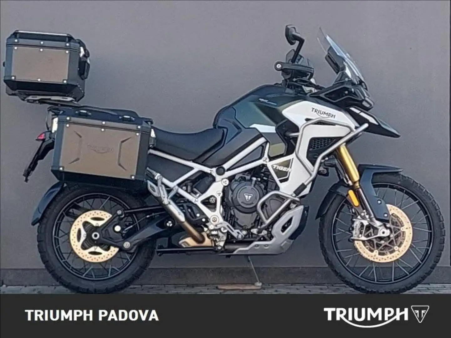 Triumph Tiger 1200 Rally Explorer Verde - 1