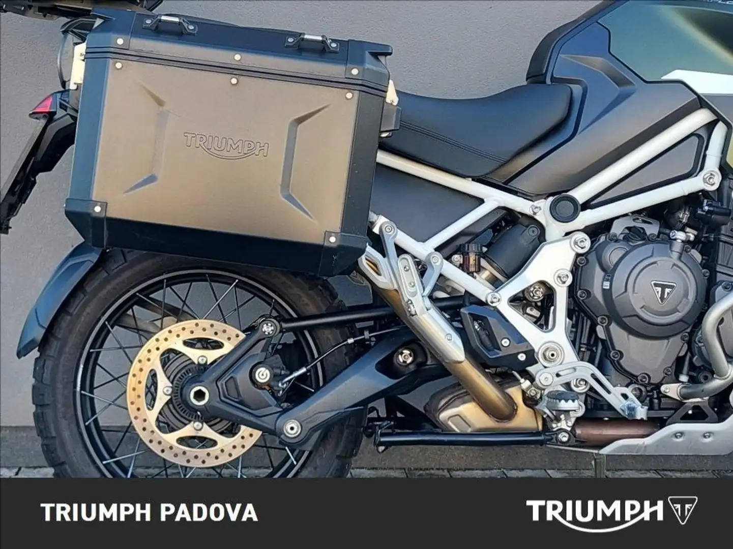 Triumph Tiger 1200 Rally Explorer Verde - 2