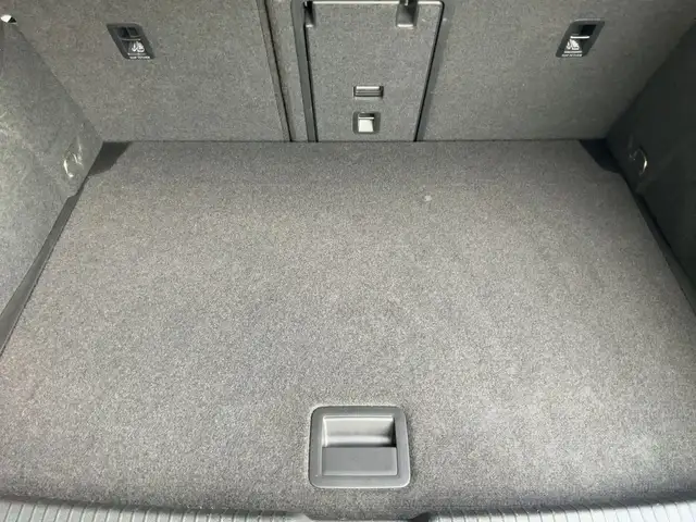 Volkswagen Golf view 14
