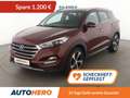 Hyundai TUCSON 1.6 TGDI Premium 4WD Aut*NAVI*TEMPO*CAM*PDC*AHK* Rouge - thumbnail 1