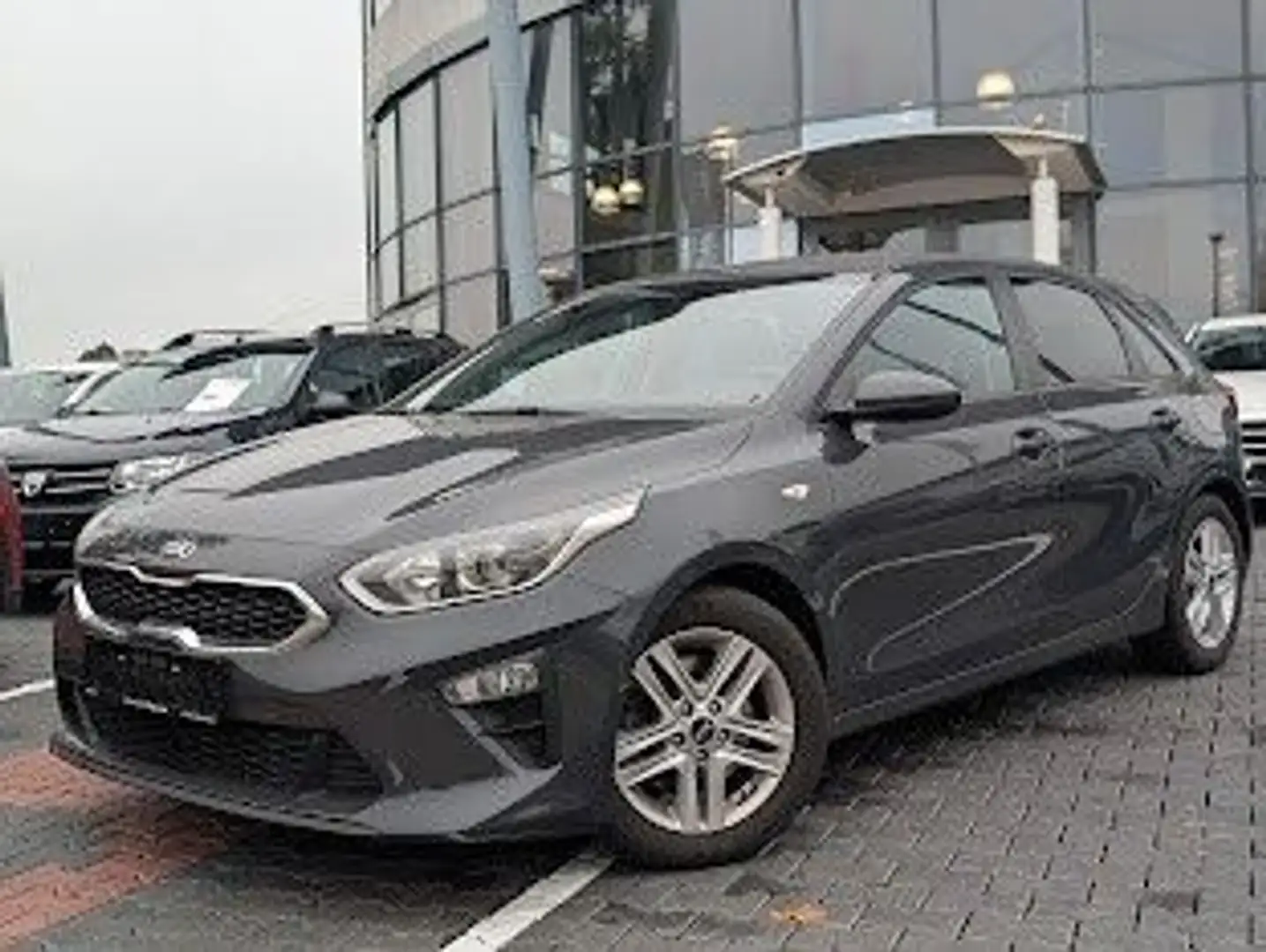Kia Ceed / cee'd Ceed Edition 7 Limited AHK. CarPlay. Sitzh. RFK. Grau - 1