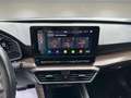 SEAT Leon 1.0 eTSI S&S Xcellence DSG-7 110 Mauve - thumbnail 17
