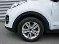 Kia Sportage 2,0 CRDI AWD Gold Blanco - thumbnail 4