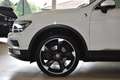 Volkswagen Tiguan 2.0TDI DSG Highline  4Motion *Sky*HeadUp* White - thumbnail 7