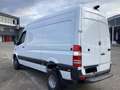 Mercedes-Benz Sprinter Sprinter V6 Allrad 4x4 Achleitner 3xSperren Unters Weiß - thumbnail 4