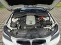 BMW 525 525d Aut. M-Sportpaket LCI Weiß - thumbnail 5